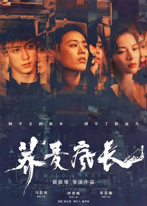 哪里能办理假护照